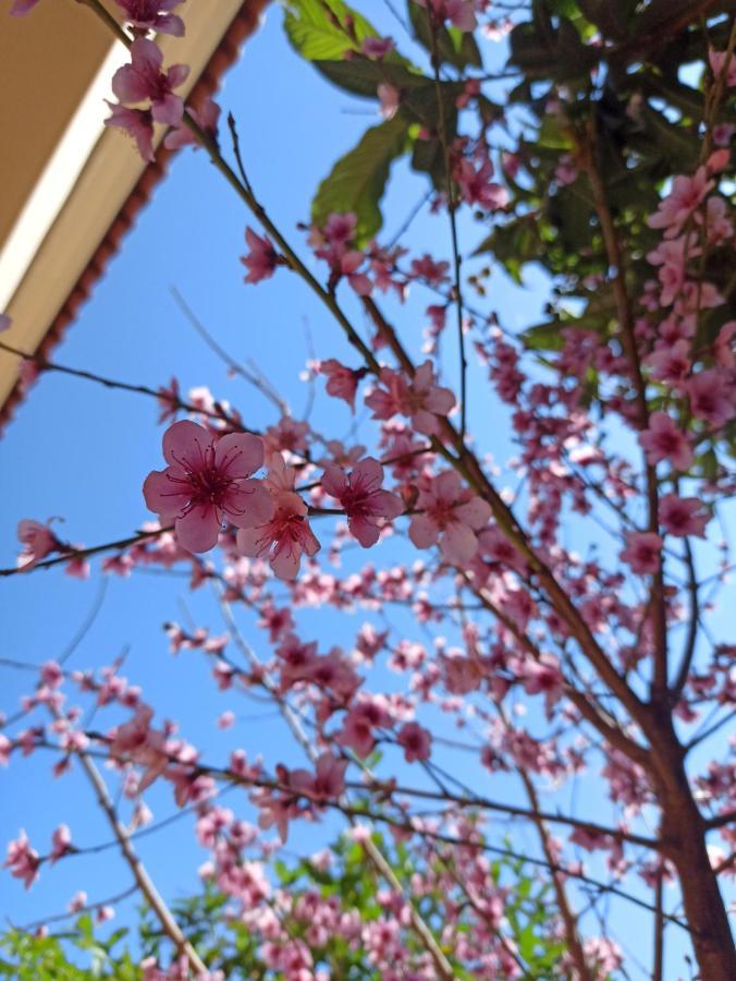 Happy Days Apartment Tirós エクステリア 写真